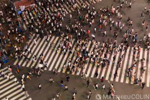 Japon, île de Honshu, région de Kanto, Tokyo, quartier de Shibuya, carrefour de Shibuya//Japan, Honshu Island, Kanto region, Tokyo, Shibuya district, Shibuya crossroads