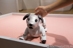 Japon, île de Honshu, région de Kanto, Tokyo, quartier de Ginza, Ginza Place Shopping Center sur le Nissan Crossing, robot chien nommé  Aibo//Japan, Honshu Island, Kanto region, Tokyo, Ginza district, Ginza Place Shopping Center on the Nissan Crossing, dog robot named Aibo