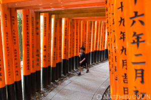 Japon, île de Honshu, Région de Kansai, Kyoto, quartier Fushimi-ku, sanctuaire Le Fushimi Inari taisha, porte ou torii//Japan, Honshu Island, Kansai Region, Kyoto, Fushimi-ku district, Le Fushimi Inari taisha shrine, gate or torii