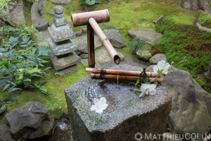 Japon, île de Honshu, Région de Kansai, Kyoto, temple daitokuji//Japan, Honshu Island, Kansai Region, Kyoto, Daitokuji Temple