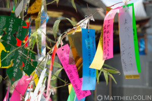 Japon, île de Honshu, région de Kansai, Kyoto, temple Kitano Tenman gu//Japan, Honshu Island, Kansai region, Kyoto, Kitano Tenman gu temple