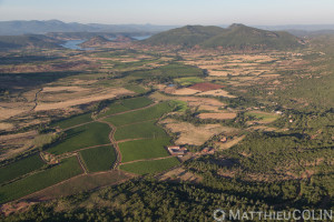 France, Hérault (34), Mérifons, vignes et chemin en croix, ruffe, roche rouge (vue aérienne)//France, Hérault (34), Mérifons, vineyards and cross road, ruffe, red rock (aerial view)