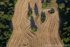 France, Hérault (34),Bedarieux, champs de blé (vue aérienne)//France, Hérault (34), Bedarieux, fields of wheat (aerial view)