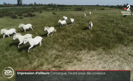 20h-FRANCE2-13 juin 20_Camargue.00_00_15_08.Image fixe002