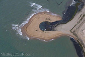 France, Vendée (85), Ile de Noirmoutier,  plage des Boucholeur, Barbatre (vue aérienne)