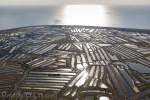 France, Vendée (85), Ile de Noirmoutier, marais salants  (vue aérienne)