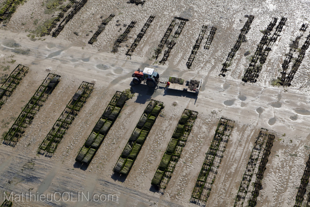 Ile de Noirmoutier, conchyliculture, ostreiculture, culture des huitres, et mytiliculture, culture des moules (vue aerienne)