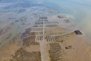 France, Vendee (85), Ile de Noirmoutier, conchyliculture,  ostreiculture, culture des huitres, et  mytiliculture, culture des moules (vue aerienne)