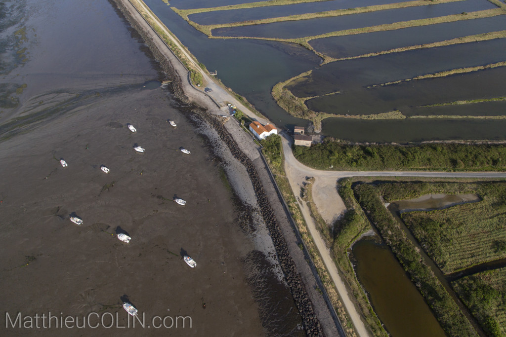 France, Vendée (85), Ile de Noirmoutier, Barbatrs, marais salants(vue aérienne)