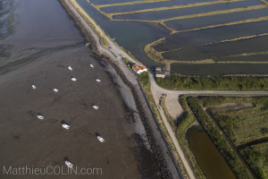 France, Vendée (85), Ile de Noirmoutier, Barbatrs, marais salants(vue aérienne)