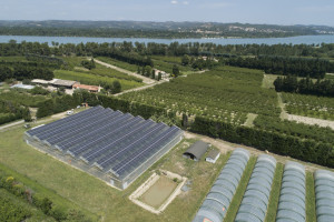 France, Bouches-du-Rhone, Boulbon,  serre solaire  photovoltaique Urbasolar (vue aerienne)