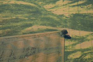 France, Alpes-de-Haute-Provence,  commune de Valensole, champs au bord de la Durance (vue aérienne)